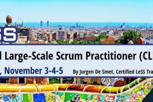 Certified Large-Scale Scrum (LeSS) Practitioner