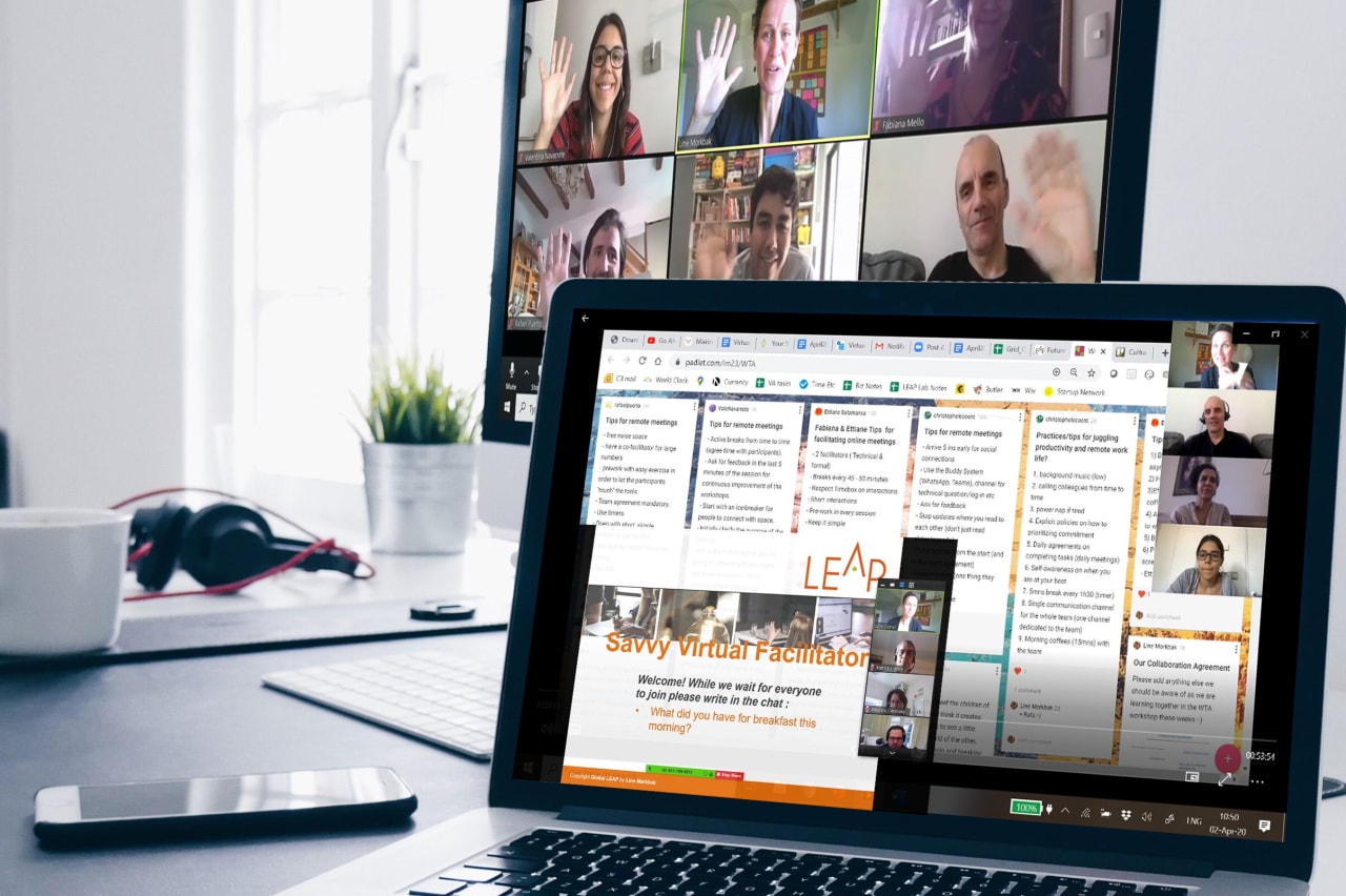 SAVVY Virtual Facilitator | Design and run engaging online events - with Line Mørkbak
