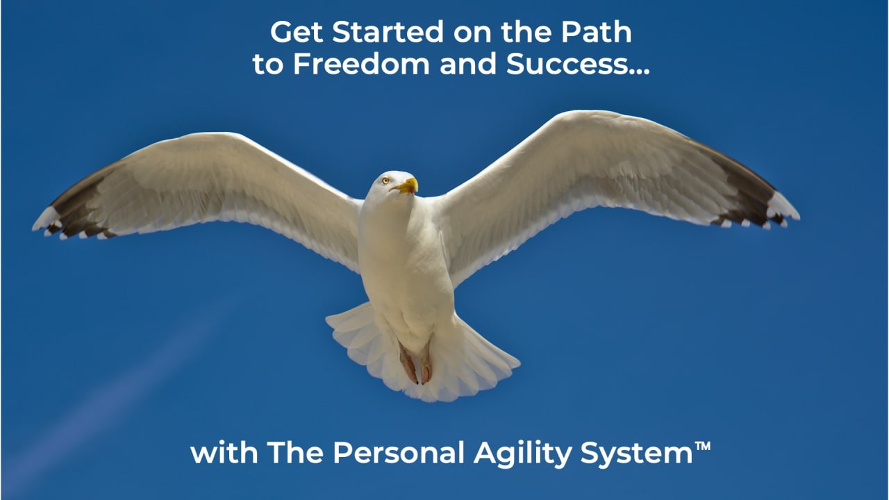 Module 1 | Self-Leadership with Personal Agility