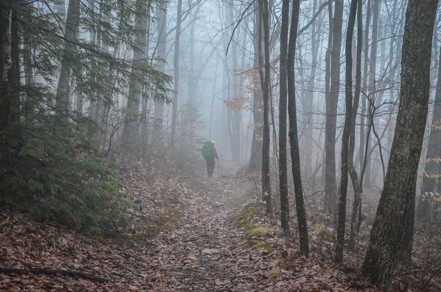 Foggy descent back to the parking lot.