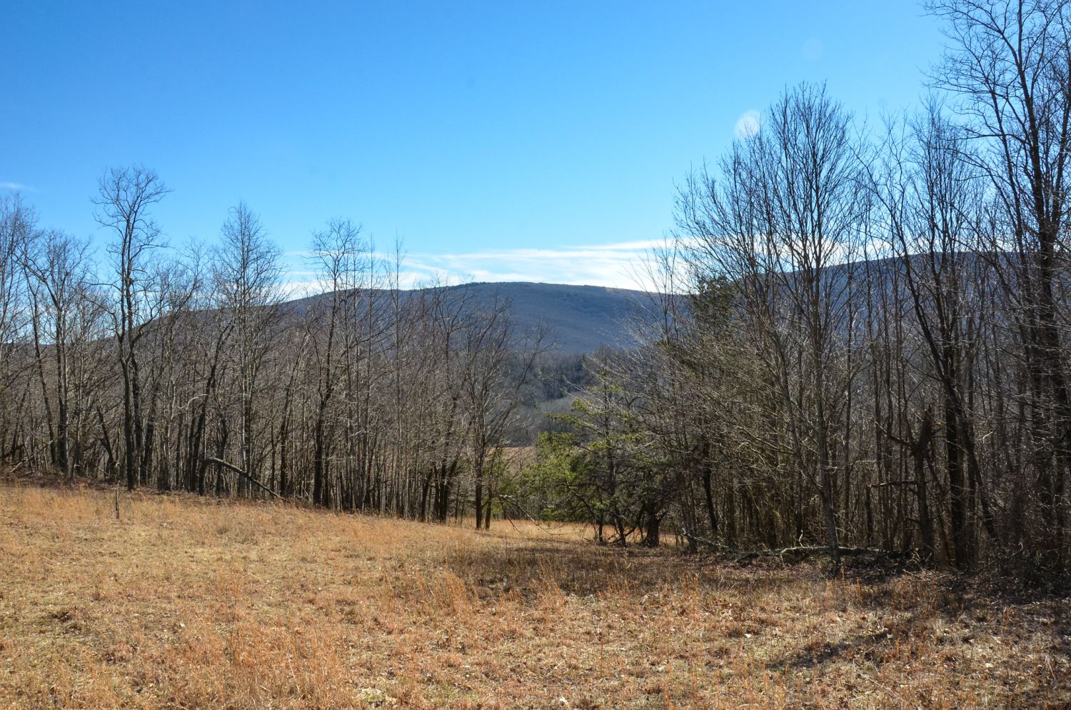 The view before the massive climb.
