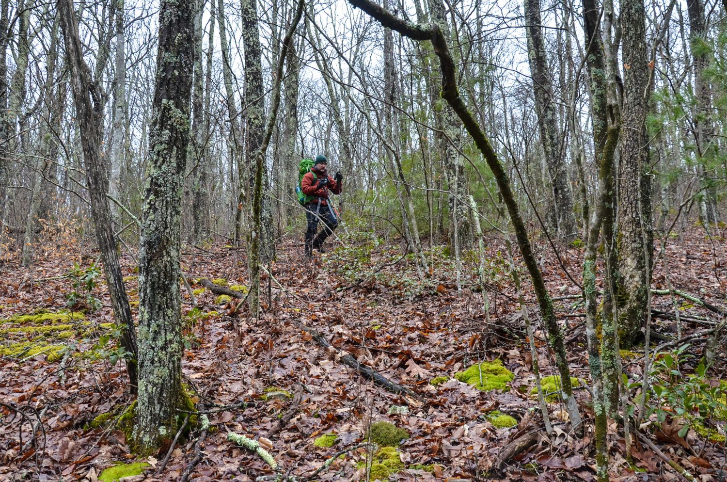 We explored off trail a bit.