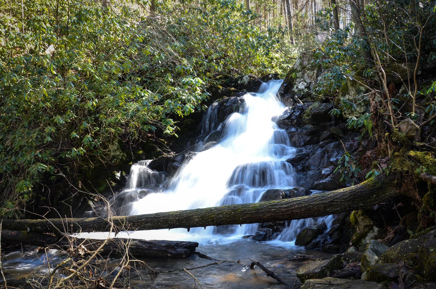 Comers Creek Falls.