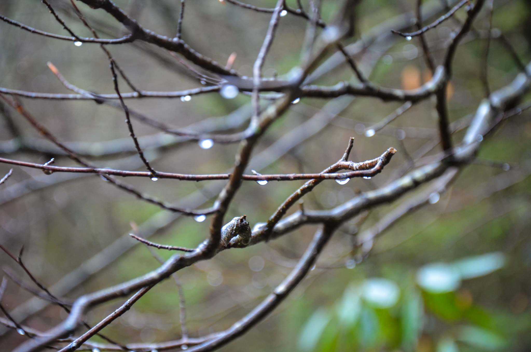 The rain just kept coming.