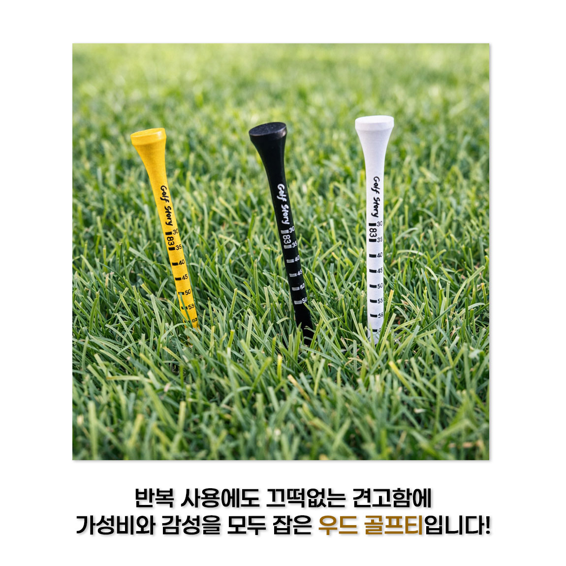 잘 안부러지는 대나무 골프티 나무티 틴케이스 세트 상세 설명 6
