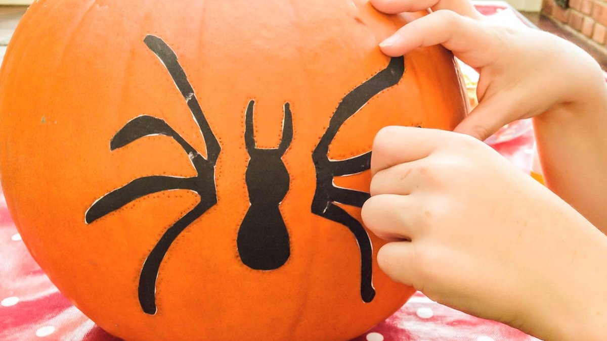 Printable Stencils for Halloween Pumpkins - halloween pumpkin