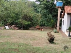 Imagem 4