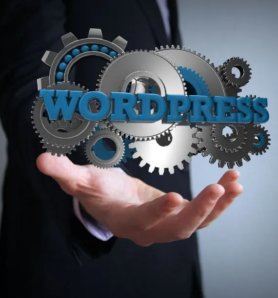 wordpress-development