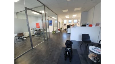 Neues Galeriebild