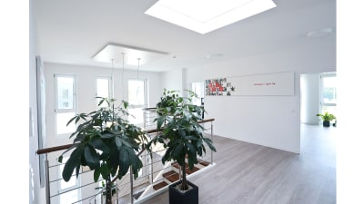 Neues Galeriebild