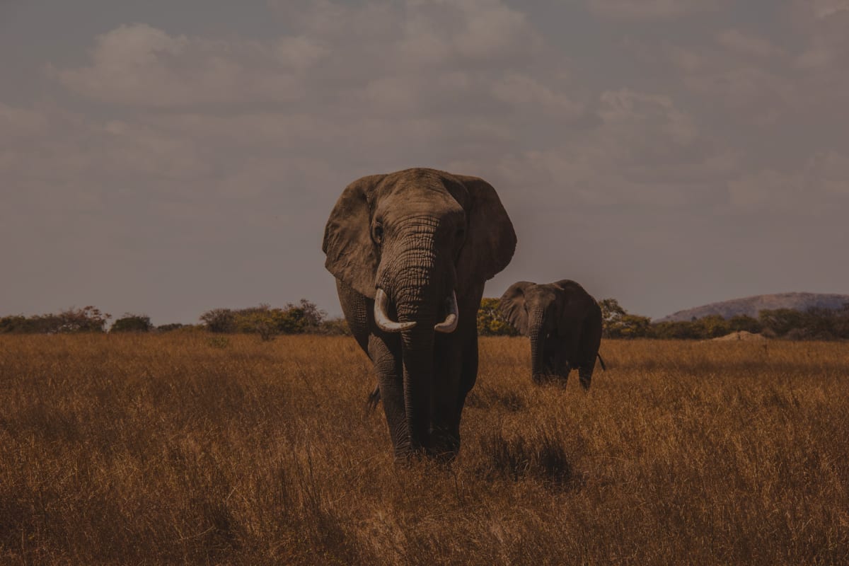 Tanzania