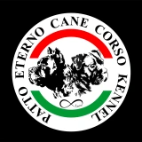 Patto Eterno Cane Corso Kennel 