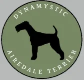 Dynamystic