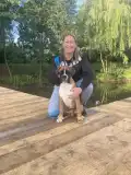 Blackmoonrose Boxer Kennel