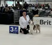 Alebarmi Kennel