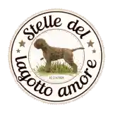 Stelle Del Lagotto Amore Kennel
