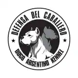 Defensa Del Caballero 