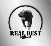 Real Best Bullies