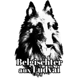 Belgischter Aux Ludvai 