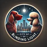 From The City Of Blinding Light