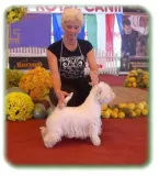 Franer Is Of Surprise Kennel