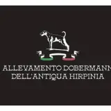  Dell Antiqua Hirpinia