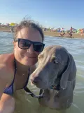 Greenhill Greys Weimári Vizsla Kennel