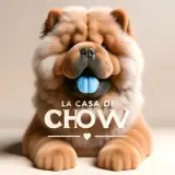 La Casa De Chow Kennel 