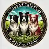 Fields Of Treasure