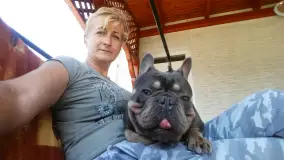 Vidék Szépe Kennel