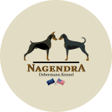 Nagendra