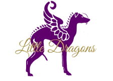 Little Dragons
