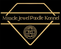 Miracle Jewel 