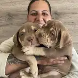 Ghostface Fighters Kennel