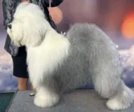 Fluffy Hurricane