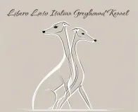 Libero Lieto Italian Greyhound Kennel