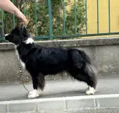 Horváthné Dobos Judit