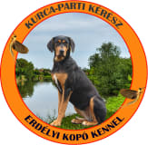 Kurca-parti Kérész