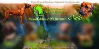 Chobe Orumba