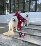 Snowcrystals Of Victoria