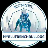 Myblufrenchbulldog Eu