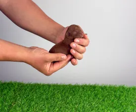 Rosa - Poodle Miniature Puppy for sale