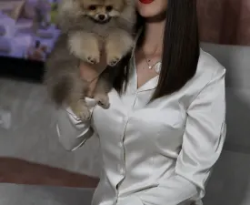 Luciano - German Pomeranian Spitz Puppy for sale