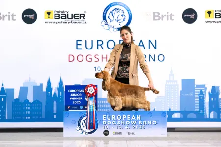 English Cocker Spaniel - La Scale Kennel