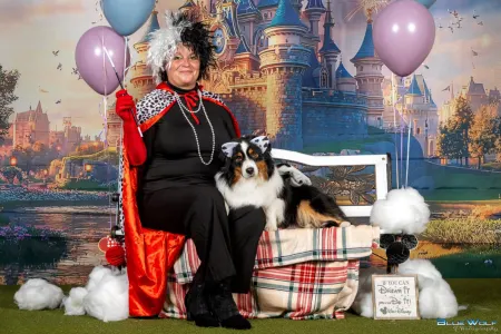 Miniature American Shepherd - Of St. Groth