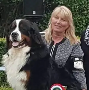 Bernese Mountain Dog - Saint Roch Loras Hope