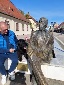 Giant Schnauzer - Jelly Bean Prima Fortis