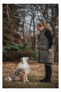 Miniature American Shepherd - Lightlake Only You