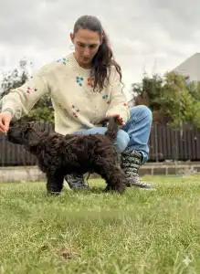 Portuguese Water Dog - Bendjamin Riva