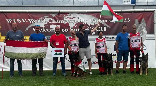 Dobermann - Von Schatten Des Teufels